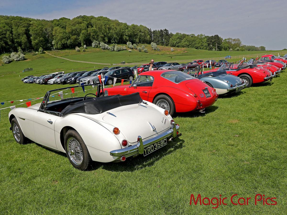 Gallery: Frogeye Sprite's 60th anniversary marked at Shelsley Walsh