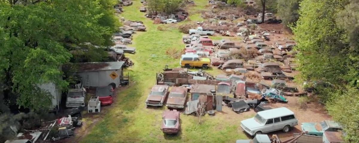 Massive Collection Features Pantera, Galaxie, And Others