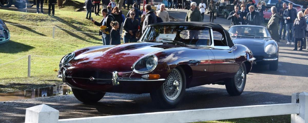 E-Type wins 'Best in Class' at Warren Classic concours