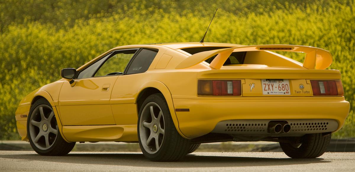 Top 10 Budget Exotics
