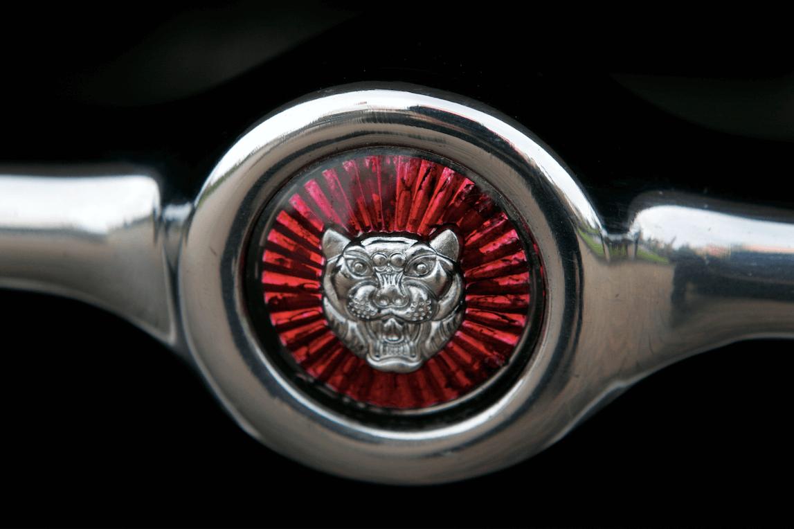 The other cars of Elon Musk