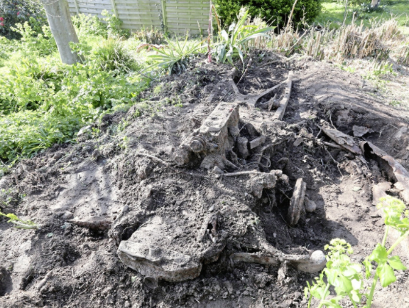 Strike me! There’s a Daimler buried in the back yard
