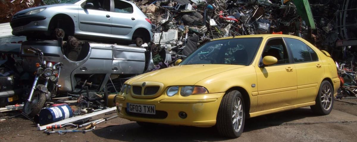 The MGs you remember are now an endangered species